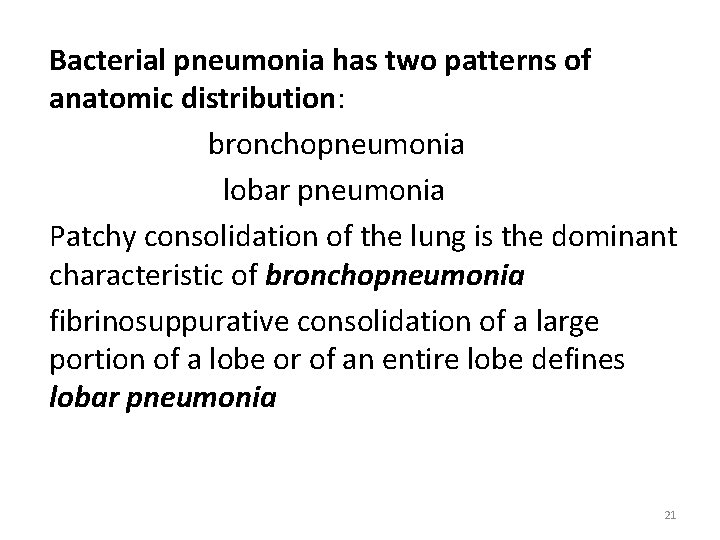 Bacterial pneumonia has two patterns of anatomic distribution: bronchopneumonia lobar pneumonia Patchy consolidation of