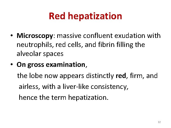 Red hepatization • Microscopy: massive confluent exudation with neutrophils, red cells, and fibrin filling