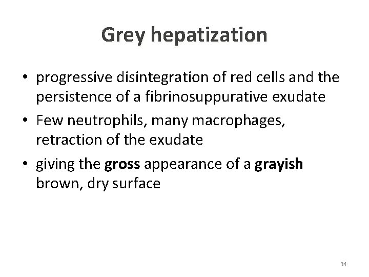 Grey hepatization • progressive disintegration of red cells and the persistence of a fibrinosuppurative