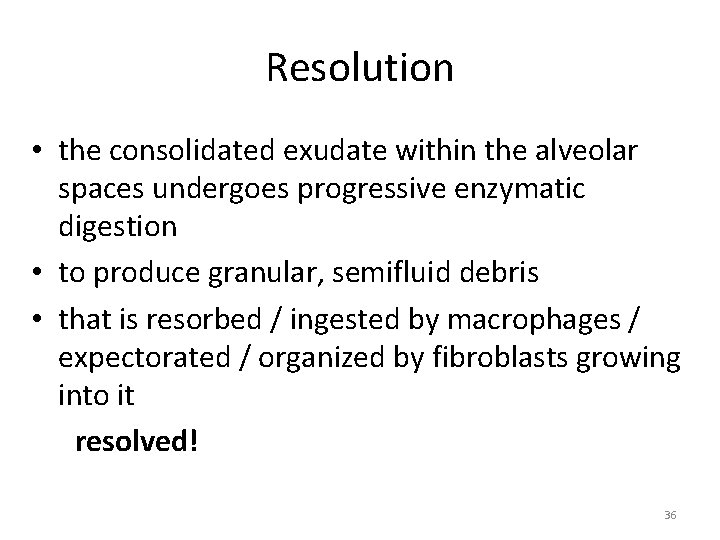 Resolution • the consolidated exudate within the alveolar spaces undergoes progressive enzymatic digestion •