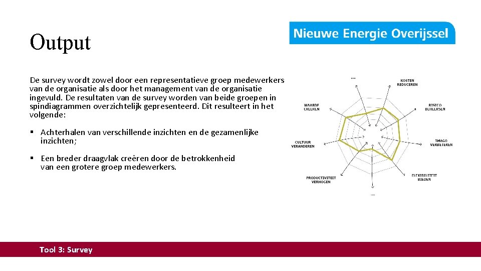 Output De survey wordt zowel door een representatieve groep medewerkers van de organisatie als