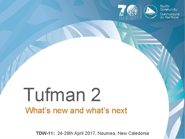 Tufman 2 What’s new and what’s next TDW-11: 24 -28 th April 2017, Noumea,