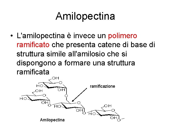 Amilopectina • L'amilopectina è invece un polimero ramificato che presenta catene di base di