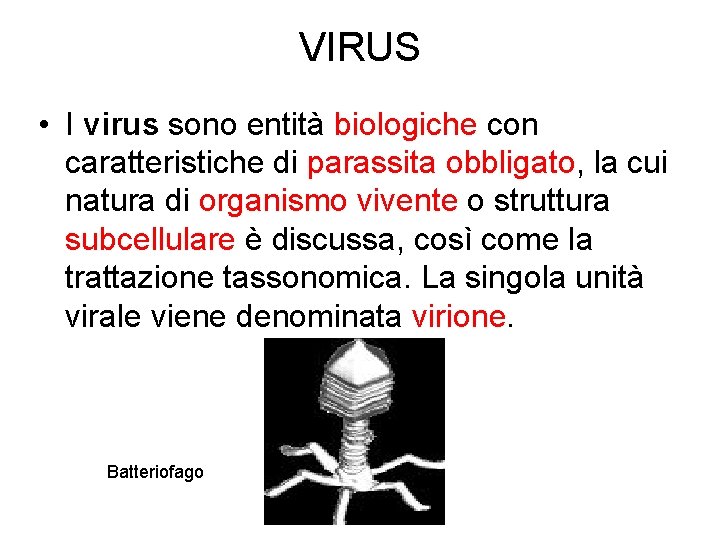 VIRUS • I virus sono entità biologiche con caratteristiche di parassita obbligato, la cui