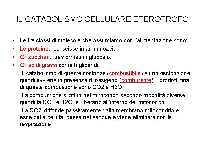 IL CATABOLISMO CELLULARE ETEROTROFO • • Le tre classi di molecole che assumiamo con