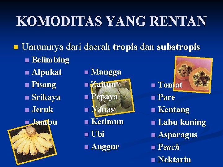 KOMODITAS YANG RENTAN n Umumnya dari daerah tropis dan substropis Belimbing n Alpukat n