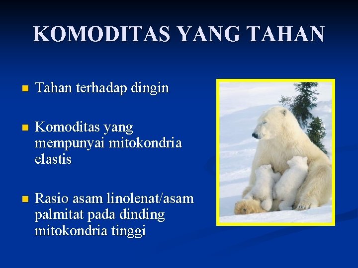 KOMODITAS YANG TAHAN n Tahan terhadap dingin n Komoditas yang mempunyai mitokondria elastis n