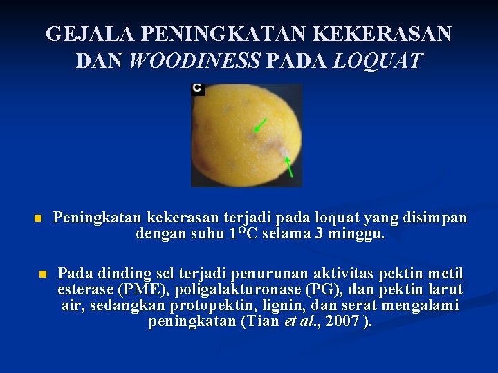 GEJALA PENINGKATAN KEKERASAN DAN WOODINESS PADA LOQUAT n n Peningkatan kekerasan terjadi pada loquat