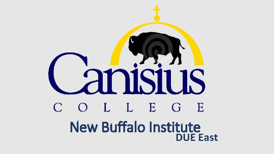 New Buffalo Institute DUE East 