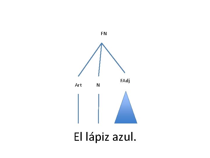 FN Art N FAdj El lápiz azul. FN Art N FAdj El lápiz azul.