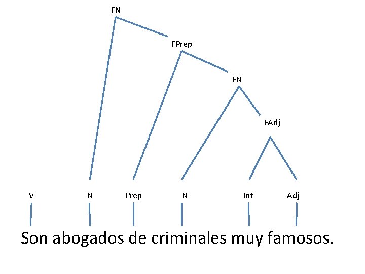 FN FPrep FN FAdj V N Prep N Int Adj Son abogados de criminales FN FPrep FN FAdj V N Prep N Int Adj Son abogados de criminales