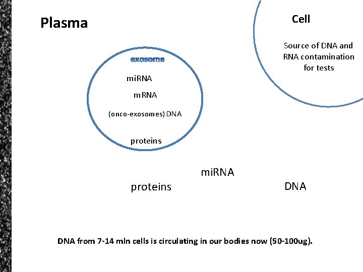 circulating free dna in peripheral blood