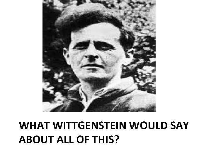 WHAT WITTGENSTEIN WOULD SAY ABOUT ALL OF THIS? 