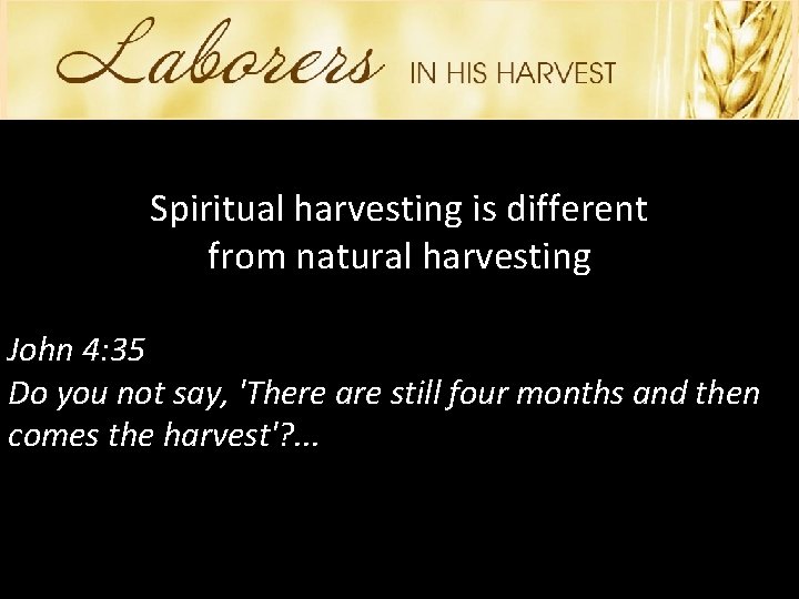 Spiritual harvesting is different from natural harvesting John 4: 35 Do you not say,