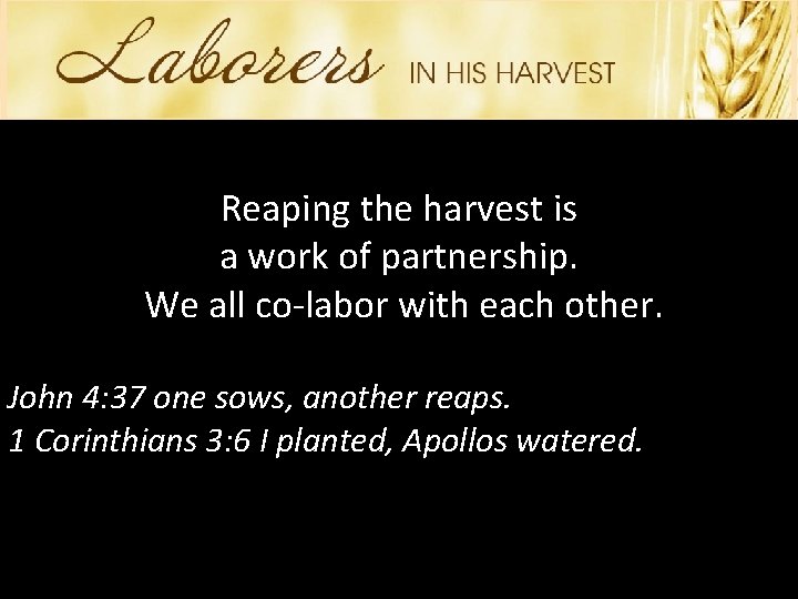 Reaping the harvest is a work of partnership. We all co-labor with each other.