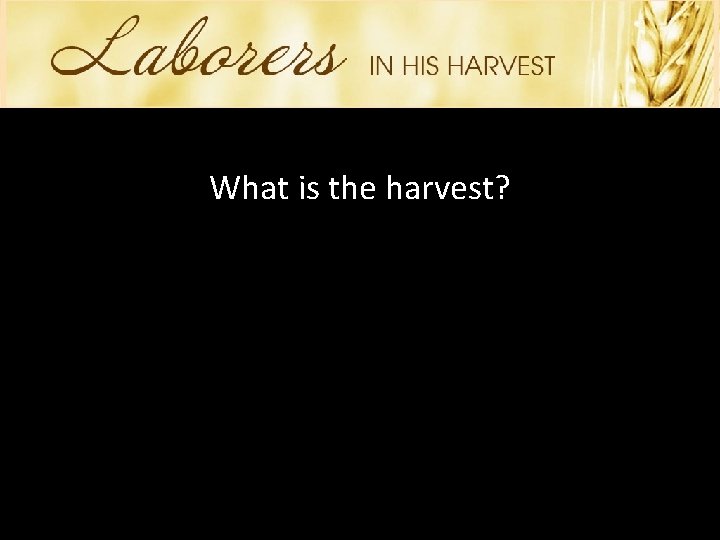 What is the harvest? 