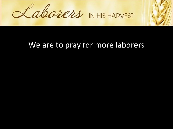 We are to pray for more laborers 