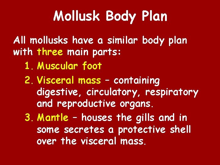 Mollusk Body Plan All mollusks have a similar body plan with three main parts: