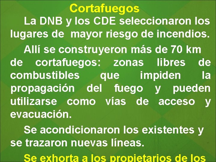 Cortafuegos La DNB y los CDE seleccionaron los lugares de mayor riesgo de incendios.