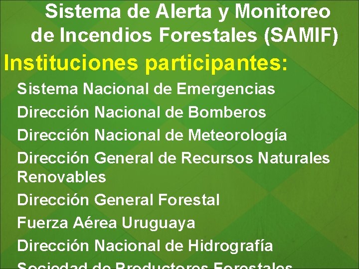 Sistema de Alerta y Monitoreo de Incendios Forestales (SAMIF) Instituciones participantes: Sistema Nacional de