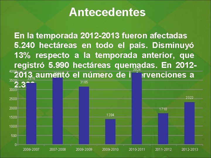 Antecedentes En la temporada 2012 -2013 fueron afectadas 5. 240 hectáreas en todo el