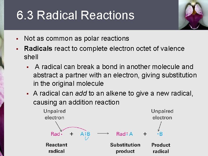 6. 3 Radical Reactions § § Not as common as polar reactions Radicals react