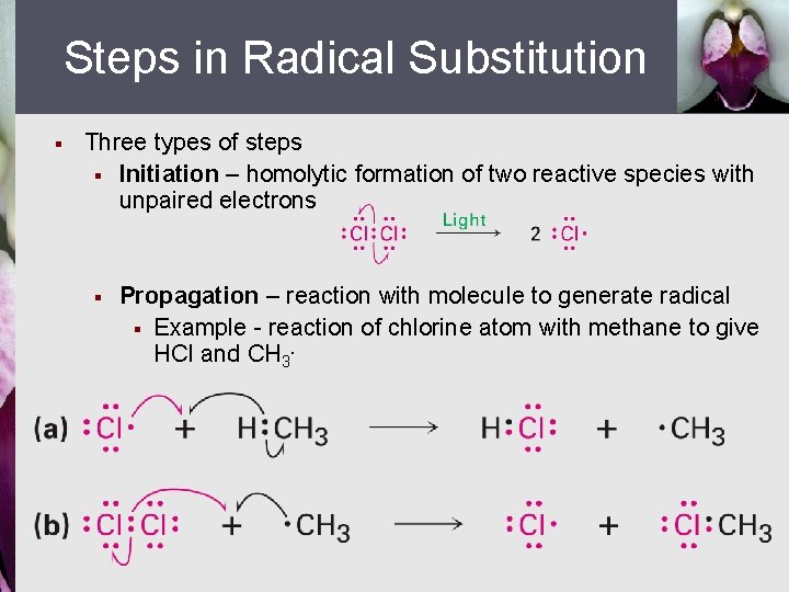 Steps in Radical Substitution § Three types of steps § Initiation – homolytic formation