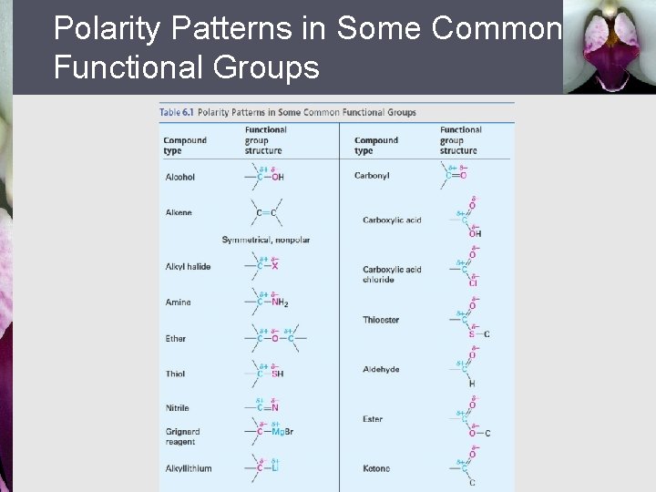 Polarity Patterns in Some Common Functional Groups 