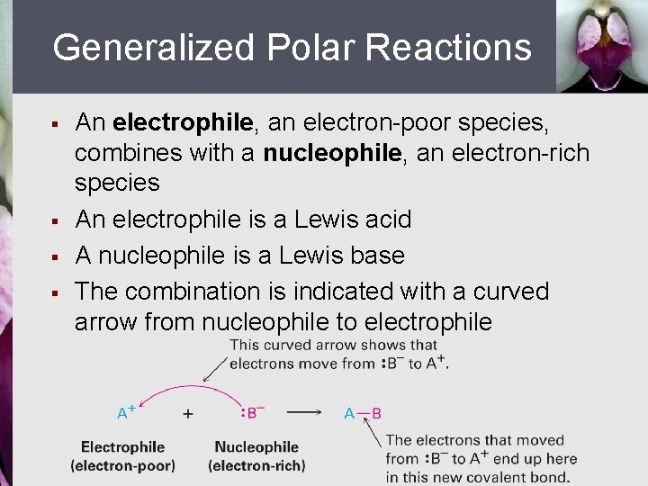 Generalized Polar Reactions § § An electrophile, an electron-poor species, combines with a nucleophile,
