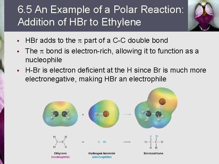 6. 5 An Example of a Polar Reaction: Addition of HBr to Ethylene §