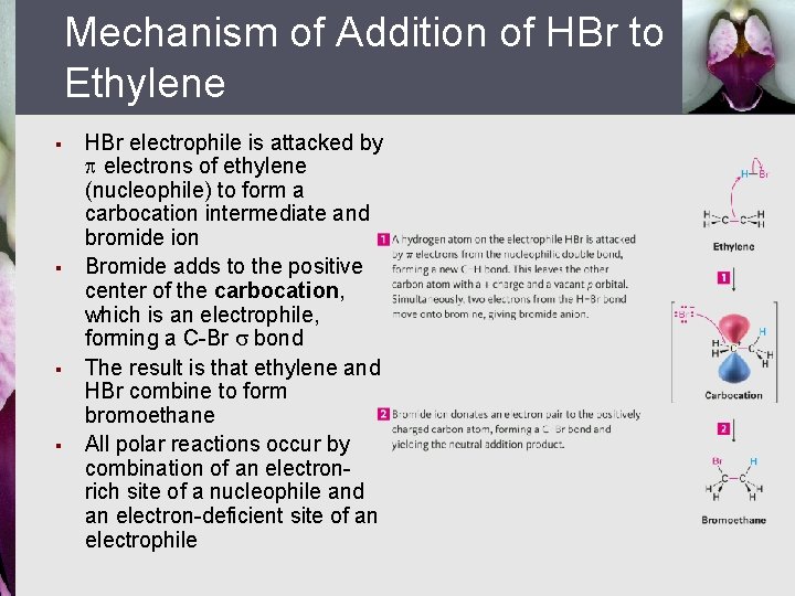 Mechanism of Addition of HBr to Ethylene § § HBr electrophile is attacked by