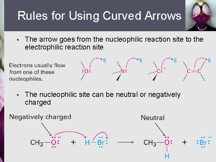 Rules for Using Curved Arrows § The arrow goes from the nucleophilic reaction site