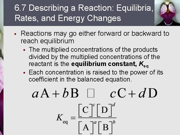6. 7 Describing a Reaction: Equilibria, Rates, and Energy Changes § Reactions may go
