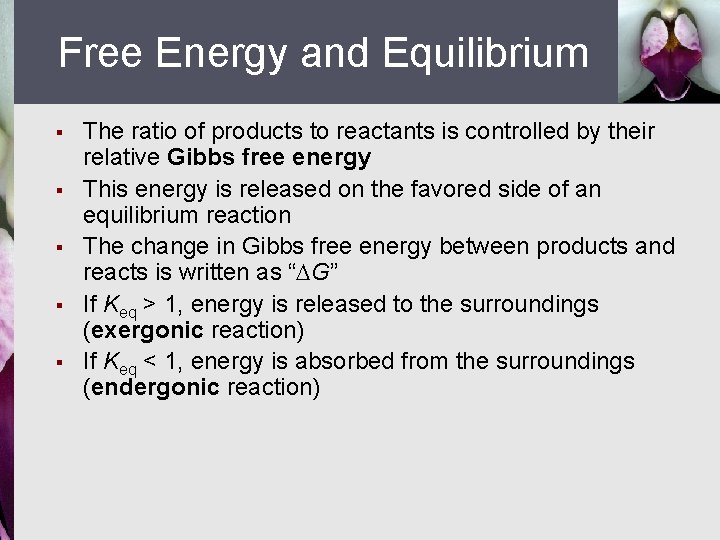 Free Energy and Equilibrium § § § The ratio of products to reactants is