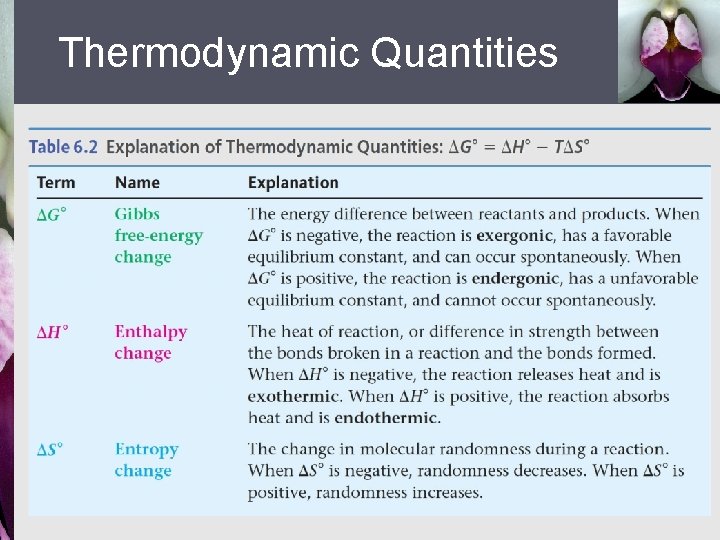 Thermodynamic Quantities 
