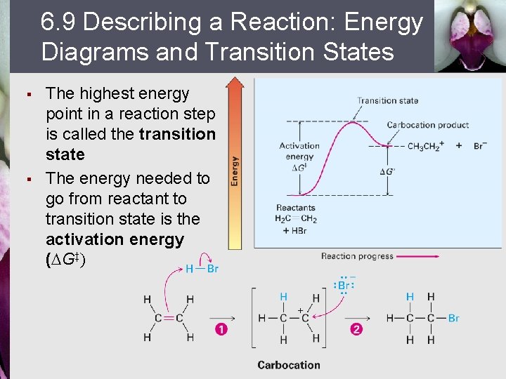 6. 9 Describing a Reaction: Energy Diagrams and Transition States § § The highest