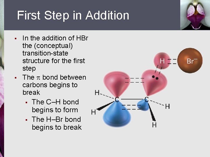First Step in Addition § § In the addition of HBr the (conceptual) transition-state