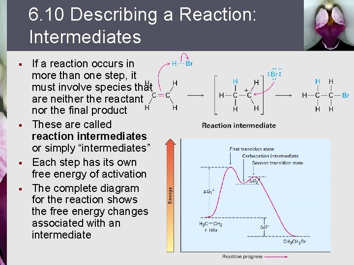 6. 10 Describing a Reaction: Intermediates § § If a reaction occurs in more