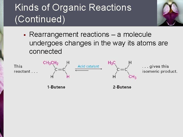 Kinds of Organic Reactions (Continued) § Rearrangement reactions – a molecule undergoes changes in