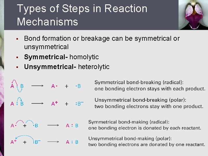 Types of Steps in Reaction Mechanisms § § § Bond formation or breakage can