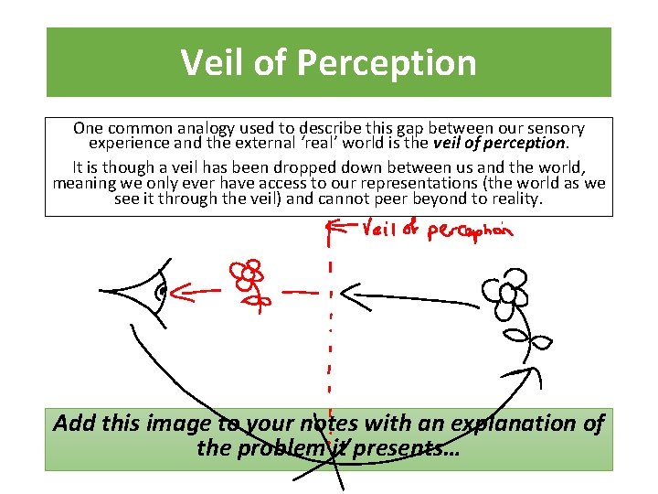 Veil of Perception One common analogy used to describe this gap between our sensory
