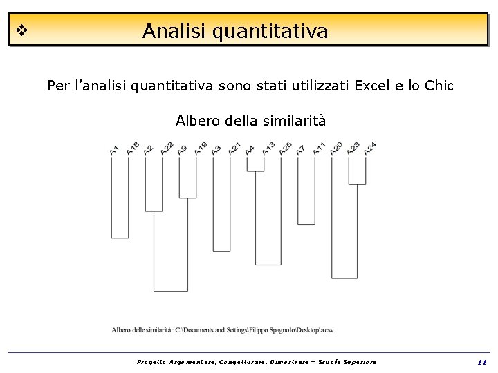 v Analisi quantitativa Per l’analisi quantitativa sono stati utilizzati Excel e lo Chic Albero