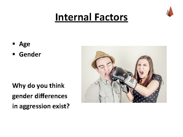 Internal Factors § Age § Gender Why do you think gender differences in aggression