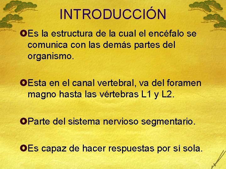 INTRODUCCIÓN £Es la estructura de la cual el encéfalo se comunica con las demás