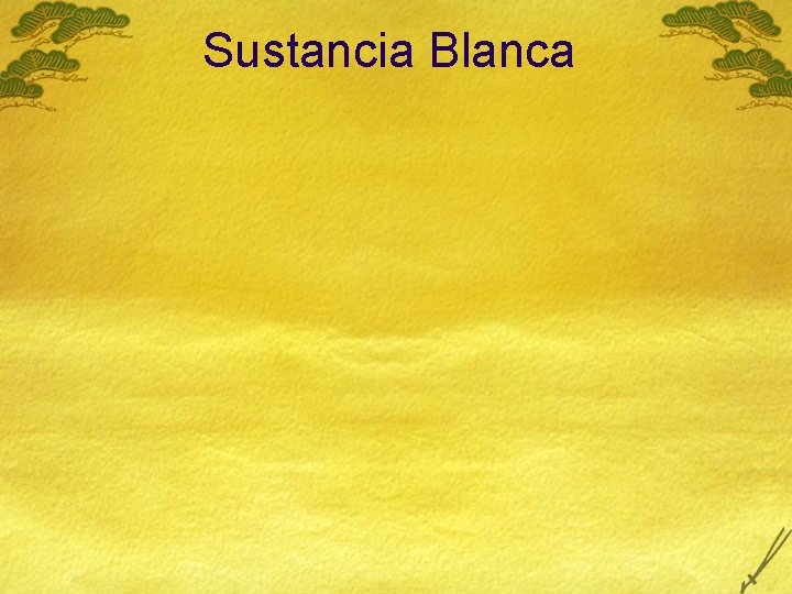 Sustancia Blanca 