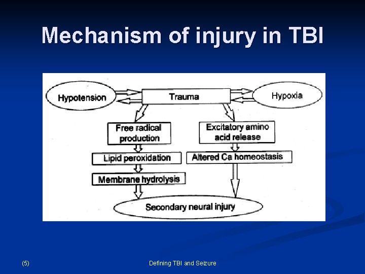 Mechanism of injury in TBI (5) Defining TBI and Seizure 