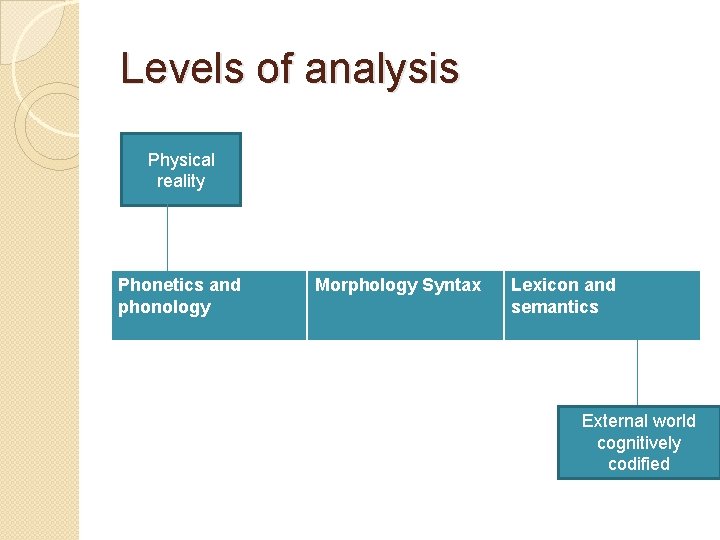 Levels of analysis Physical reality Phonetics and phonology Morphology Syntax Lexicon and semantics External Levels of analysis Physical reality Phonetics and phonology Morphology Syntax Lexicon and semantics External