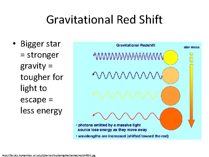 Gravitational Red Shift • Bigger star = stronger gravity = tougher for light to