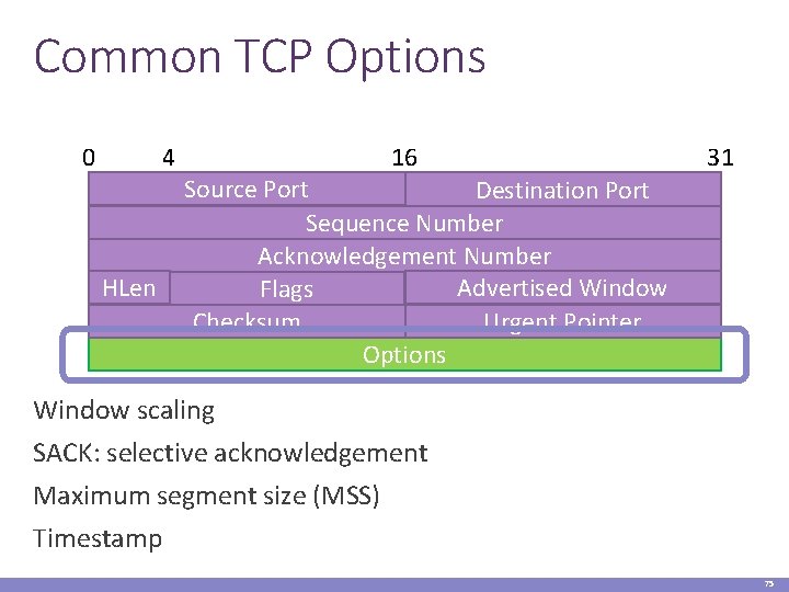 Common TCP Options 4 0 HLen 16 31 Source Port Destination Port Sequence Number