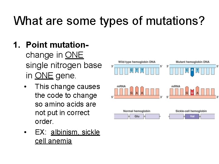 dna mutations disorders normal protein